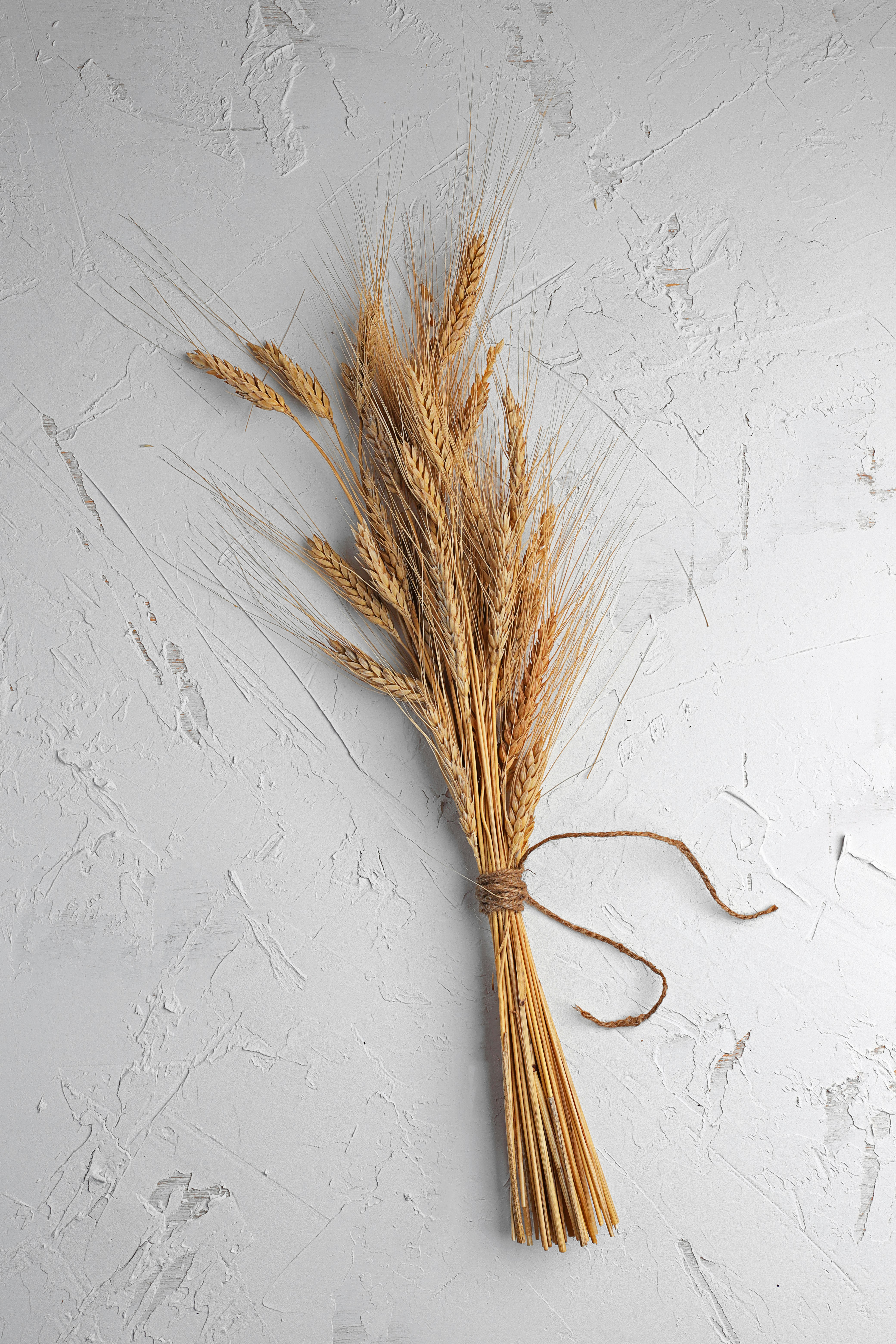 brown broom on white wall